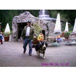 Gerd Single aus Kandern