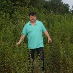 Hermann Single aus Landau an der Isar